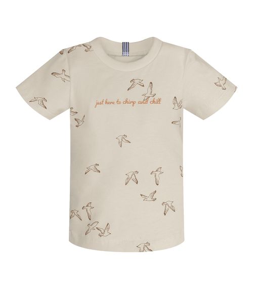 Conjunto Infantil Camiseta Com Bermuda Trick Nick Bege